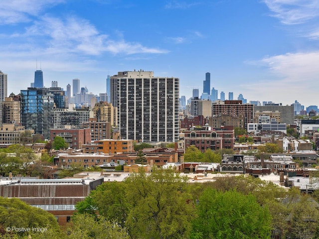 555 W Cornelia Ave Unit 1405, Chicago, IL 60657 - view of city