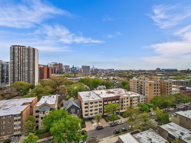 555 W Cornelia Ave Unit 1405, Chicago, IL 60657 - city view
