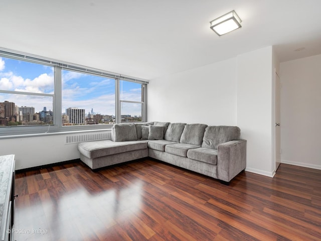 555 W Cornelia Ave Unit 1405, Chicago, IL 60657 - living room featuring a view of skyline, dark wood finished floors, and baseboards