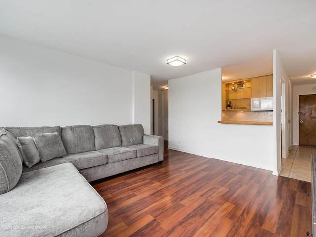 555 W Cornelia Ave Unit 1405, Chicago, IL 60657 - living area featuring wood finished floors and baseboards