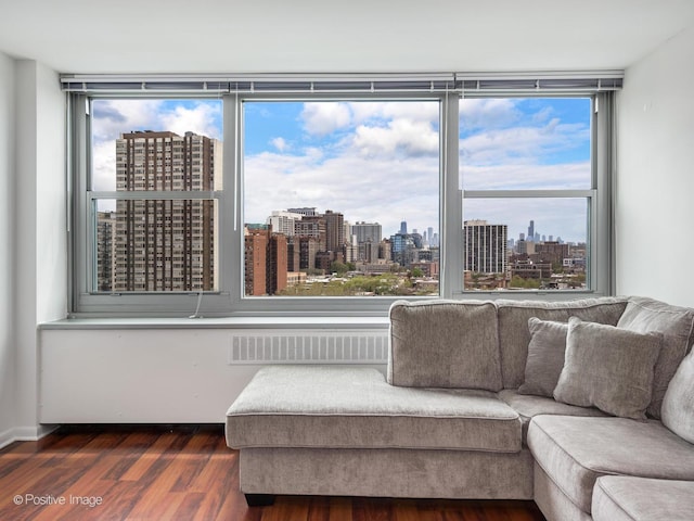 555 W Cornelia Ave Unit 1405, Chicago, IL 60657 - living area featuring a view of skyline, radiator, and dark wood finished floors