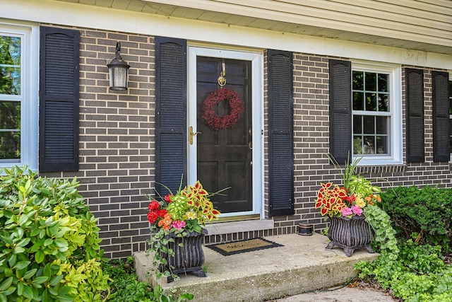 25W651 Towpath Ct, Wheaton, IL 60189 - view of exterior entry featuring brick siding