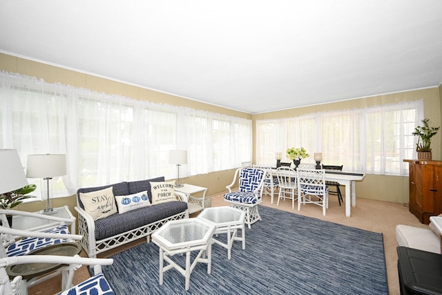 25W651 Towpath Ct, Wheaton, IL 60189 - view of carpeted living room