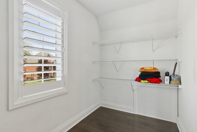 16829 Sheridans Trl, Orland Park, IL 60467 - spacious closet featuring dark wood finished floors