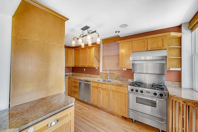 1044 S E Ave, Oak Park, IL 60304 - kitchen featuring stainless steel appliances, a sink, under cabinet range hood, light stone countertops, and light wood-style flooring