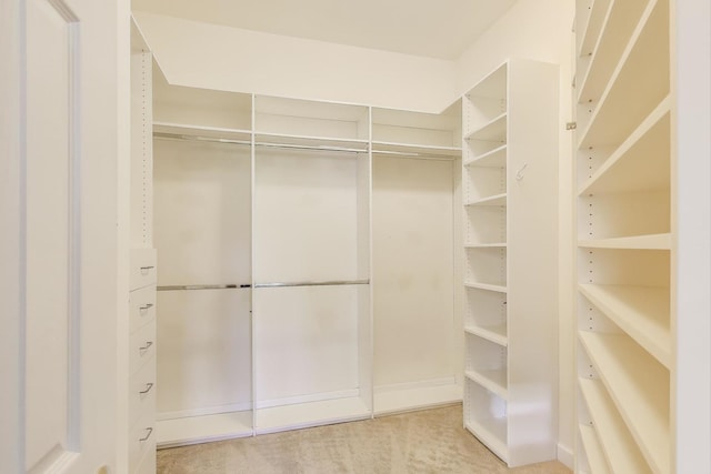 2334 Glen Eagles Ln, Riverwoods, IL 60015 - spacious closet with light colored carpet
