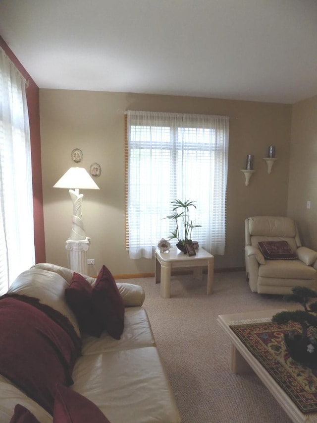 5355 Fox Path Ln, Hoffman Estates, IL 60192 - view of carpeted living room