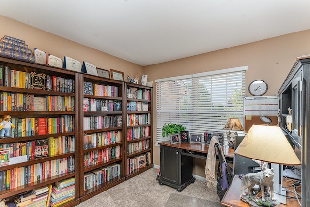 1966 Waverly Way, Montgomery, IL 60538 - home office with light carpet