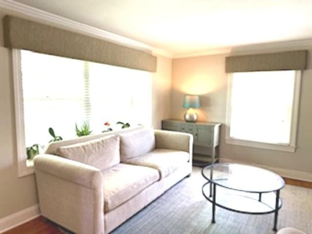1010 N Patton Ave, Arlington Heights, IL 60004 - living area featuring wood finished floors, baseboards, and ornamental molding