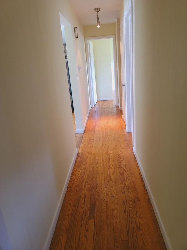 511 N Berwick Blvd, Waukegan, IL 60085 - hallway with light wood-type flooring and baseboards