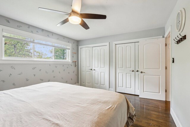 9017 Pottawattami Dr, Skokie, IL 60076 - bedroom with two closets, dark wood finished floors, a ceiling fan, and baseboards