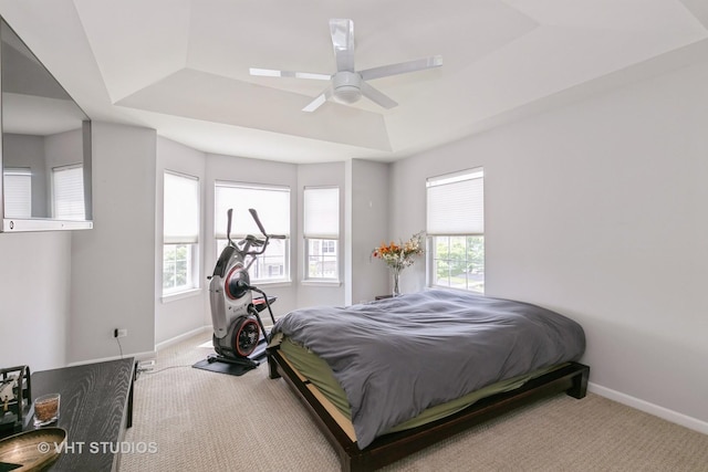 10636 153rd Pl, Orland Park, IL 60462 - bedroom featuring carpet flooring, multiple windows, and a raised ceiling