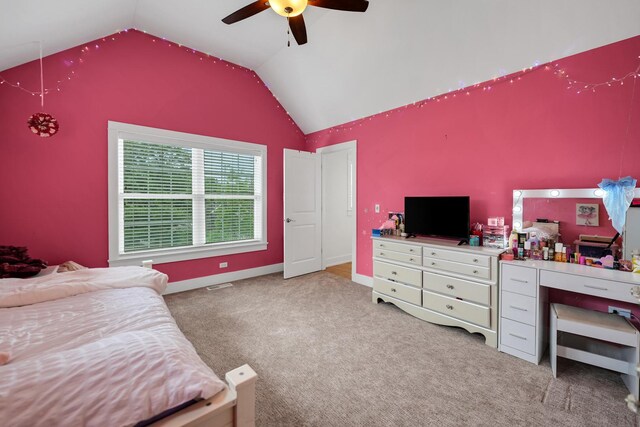 1908 Hitchcock Ave, Downers Grove, IL 60515 - photo 20