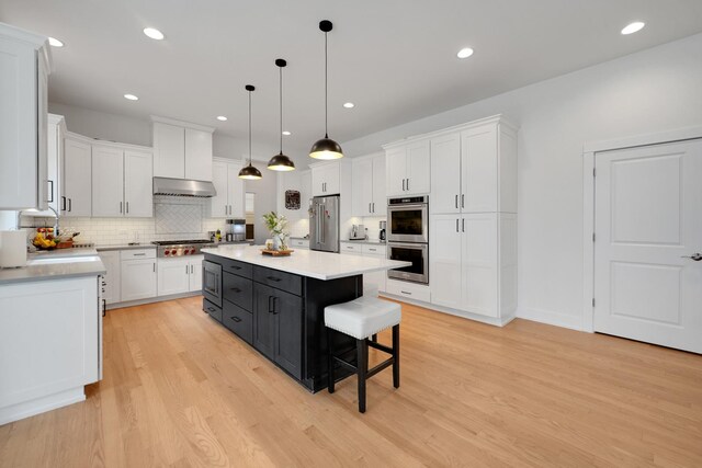 1908 Hitchcock Ave, Downers Grove, IL 60515 - photo 10