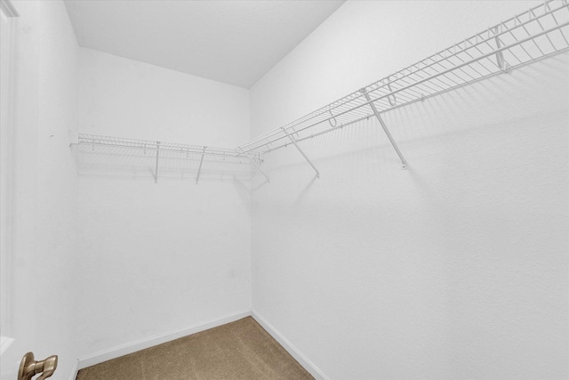 1208 Waters Edge Rd, Champaign, IL 61822 - walk in closet featuring carpet floors