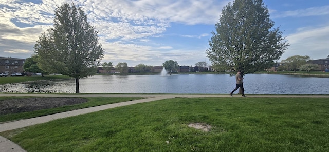 9356 Bay Colony Dr Unit 1S, Des Plaines, IL 60016 - water view