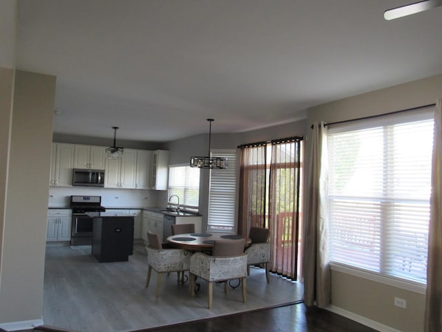 164 Blue Heron Ct, Round Lake, IL 60073 - dining area featuring plenty of natural light, wood finished floors, and baseboards