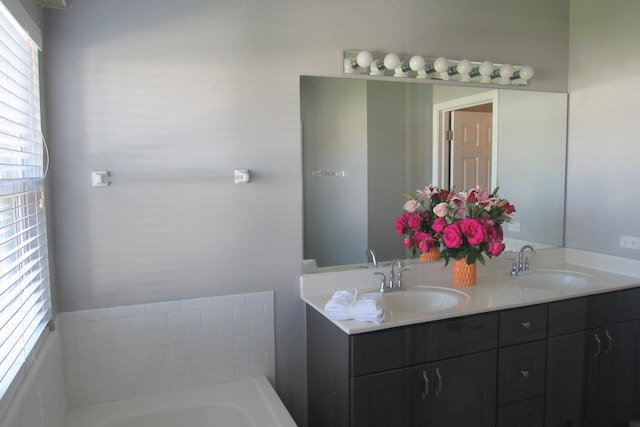 164 Blue Heron Ct, Round Lake, IL 60073 - full bath with double vanity and a bath
