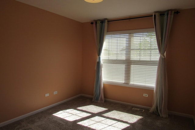164 Blue Heron Ct, Round Lake, IL 60073 - empty room featuring carpet floors and baseboards