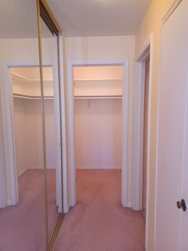 70 Old Oak Dr Unit 226, Buffalo Grove, IL 60089 - view of closet