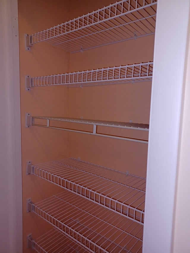 70 Old Oak Dr Unit 226, Buffalo Grove, IL 60089 - view of closet