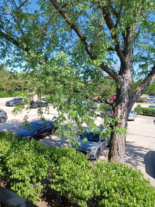 70 Old Oak Dr Unit 226, Buffalo Grove, IL 60089 - exterior view