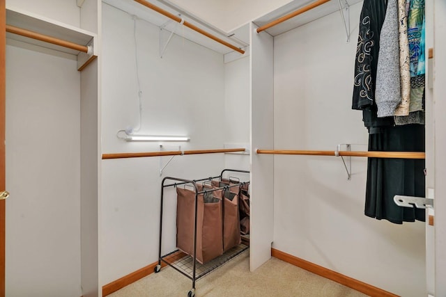 spacious closet featuring carpet flooring