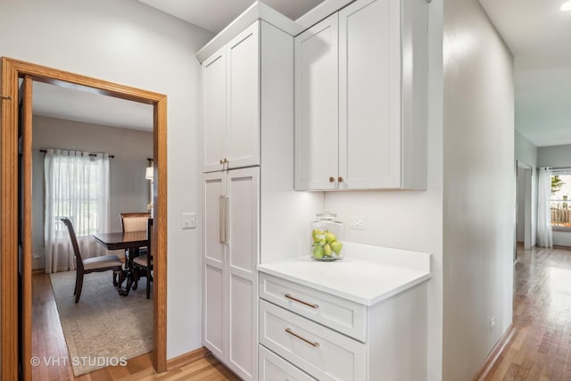 551 Salceda Ln, Mundelein, IL 60060 - corridor featuring light wood-type flooring and baseboards