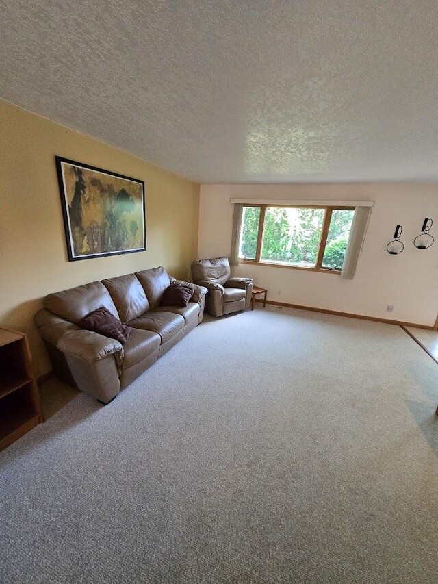 5 Hilgert Ct, Grant Park, IL 60940 - photo 8