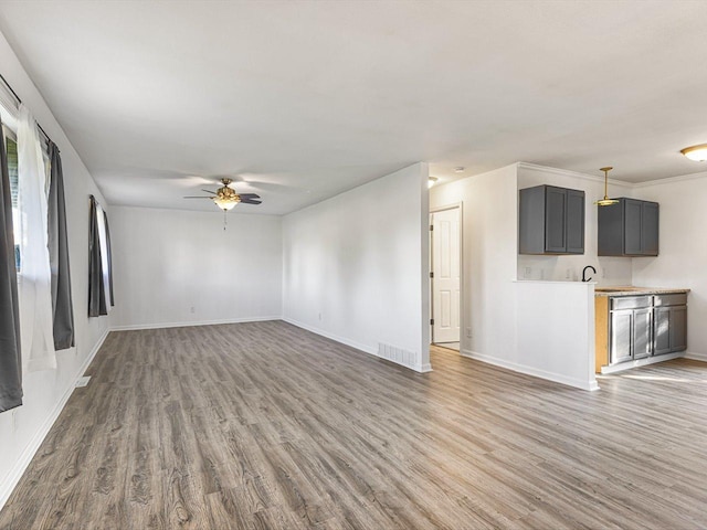 1659 Larchmont Rd, Davis, IL 61019 - unfurnished living room featuring wood finished floors, a ceiling fan, and baseboards