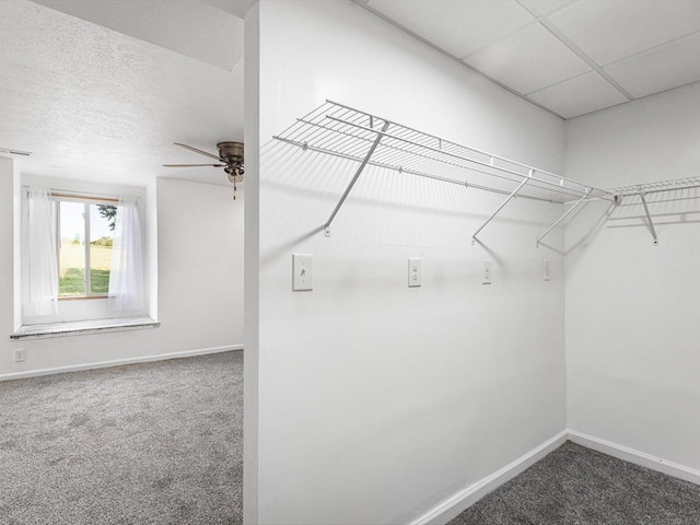 1659 Larchmont Rd, Davis, IL 61019 - walk in closet featuring dark carpet and ceiling fan