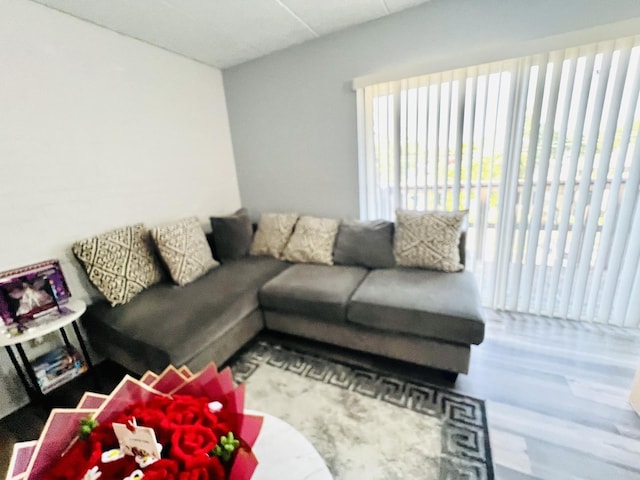 living area with wood finished floors