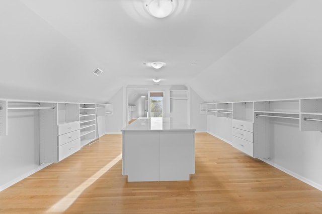 1410 W Newcastle Ct, Inverness, IL 60010 - walk in closet featuring light wood finished floors and vaulted ceiling