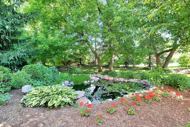 1410 W Newcastle Ct, Inverness, IL 60010 - view of yard