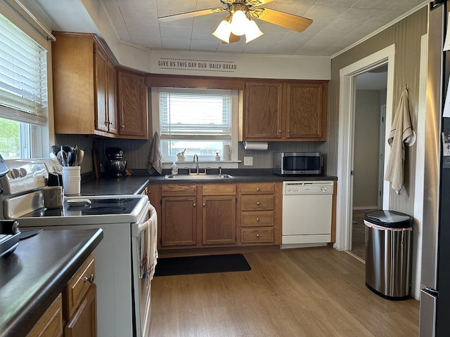 kitchen with a sink, white appliances, dark countertops, plenty of natural light, and crown molding