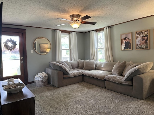 carpeted living room with a ceiling fan and crown molding