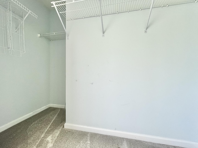 103 Hemstead St Unit 34-D, Lake Bluff, IL 60044 - walk in closet featuring carpet