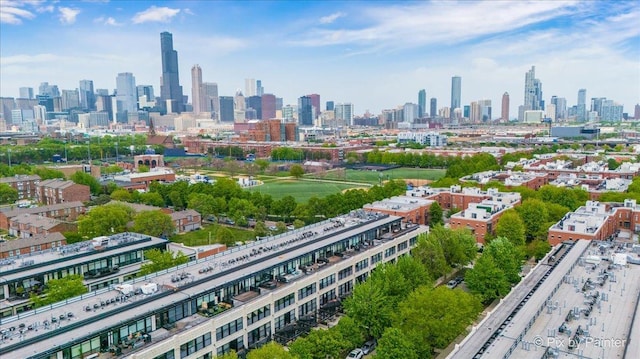 1001 W 15th St Unit 243, Chicago, IL 60608 - view of city