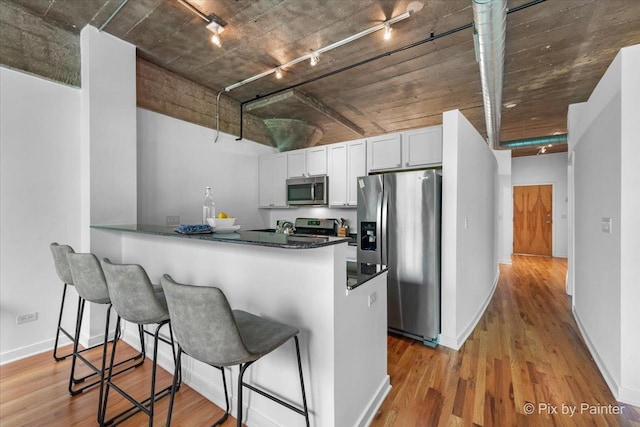 1001 W 15th St Unit 243, Chicago, IL 60608 - kitchen with stainless steel appliances, a peninsula, track lighting, a kitchen breakfast bar, and light wood-style floors