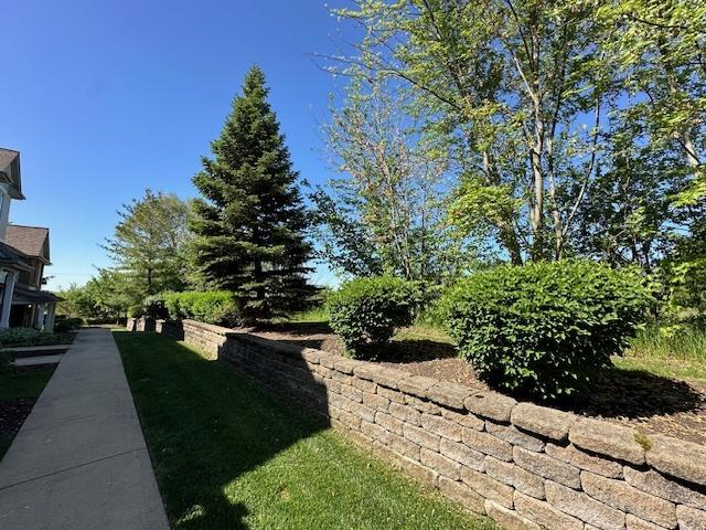 15810 Scotsglen Rd, Orland Park, IL 60462 - view of yard
