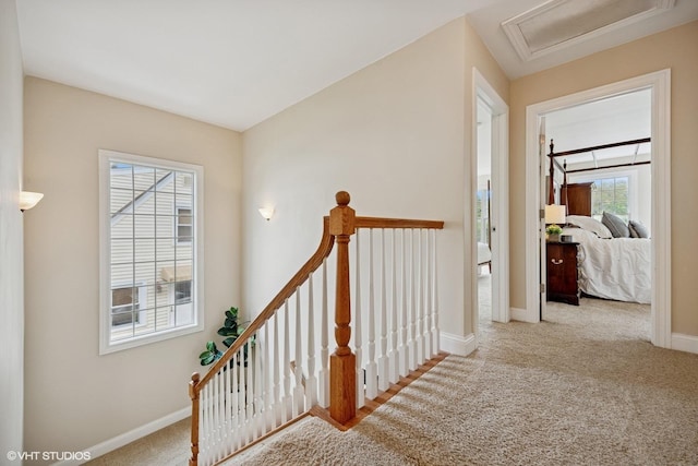 34017 N Prospect Dr, Grayslake, IL 60030 - stairway featuring carpet flooring, baseboards, and attic access