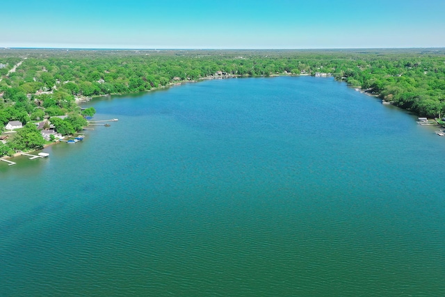 34017 N Prospect Dr, Grayslake, IL 60030 - drone / aerial view of a heavily wooded area and a nearby body of water