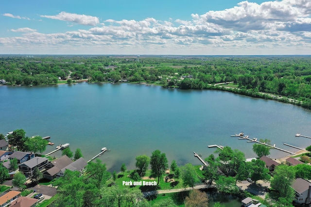34017 N Prospect Dr, Grayslake, IL 60030 - bird's eye view of a large body of water and a forest