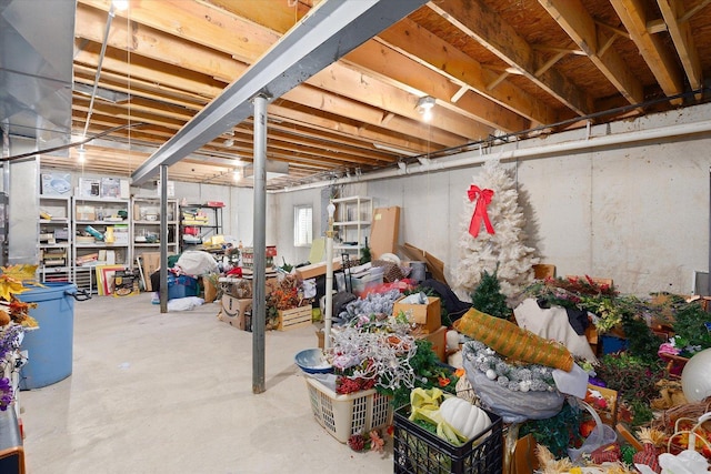 2697 Creekside Ln, Morris, IL 60450 - view of basement