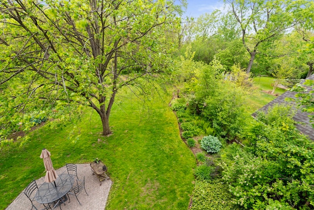 1040 Shermer Rd, Northbrook, IL 60062 - view of grassy yard with a patio