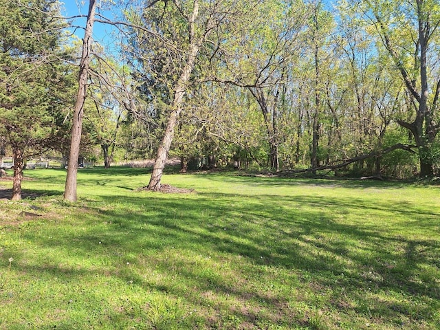 2065 Hickory Ln, Schaumburg, IL 60195 - view of green lawn
