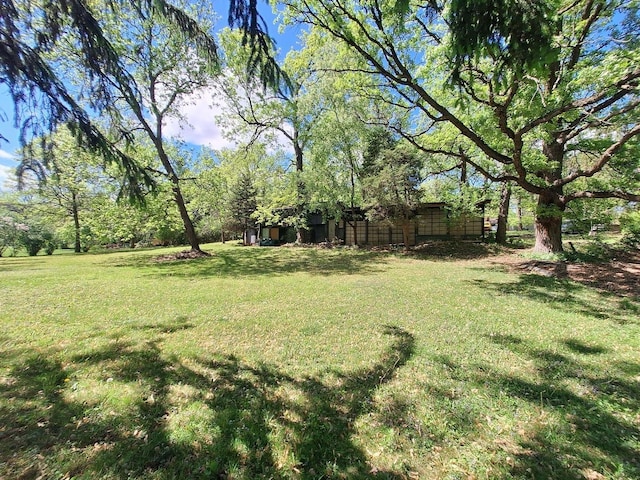 2065 Hickory Ln, Schaumburg, IL 60195 - view of green lawn