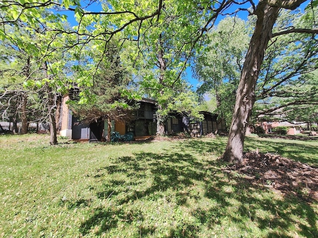 2065 Hickory Ln, Schaumburg, IL 60195 - view of grassy yard