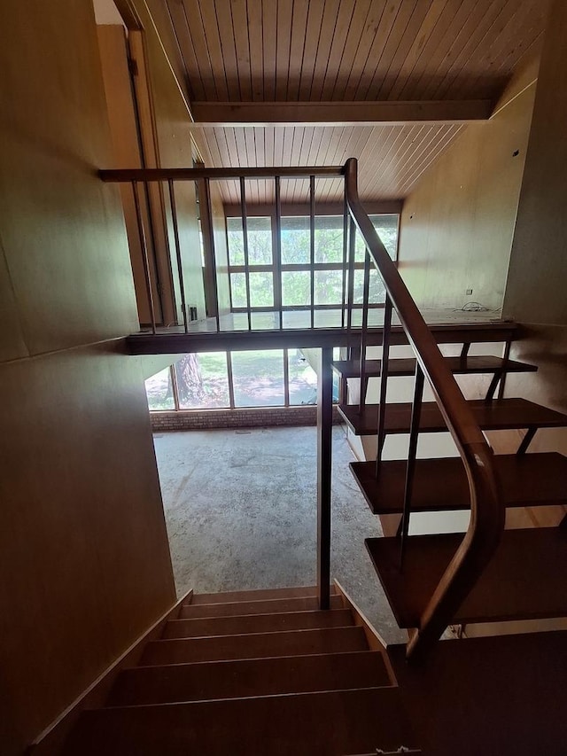 2065 Hickory Ln, Schaumburg, IL 60195 - stairway with carpet, floor to ceiling windows, and beam ceiling