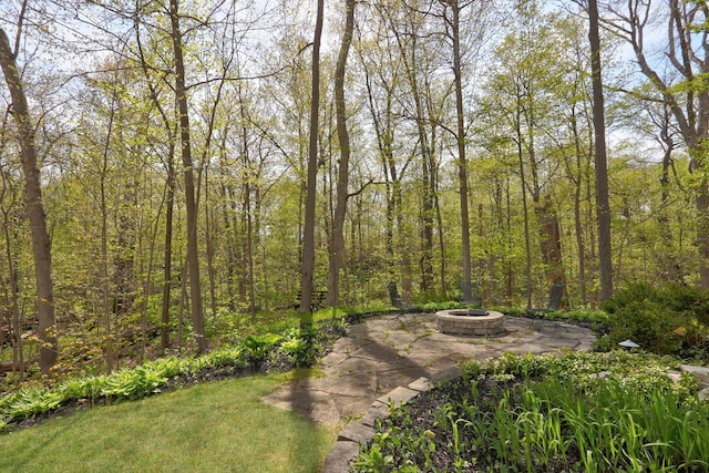 2030 Burke Dr, Winthrop Harbor, IL 60096 - view of yard featuring a fire pit and a forest view